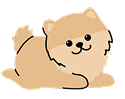 小型犬