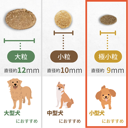 ドッグフードの粒の大きさ画像