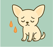 軟便・下痢