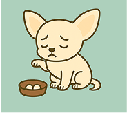 食いつきが悪い