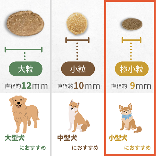 ドッグフードの粒の大きさ画像