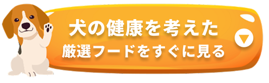 厳選フードをすぐに見る