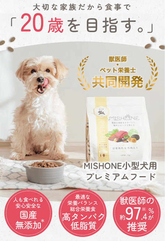 ミシュワンのバナー