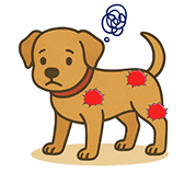 アレルギー体質