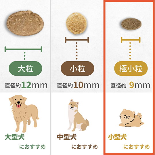 ドッグフードの粒の大きさ画像