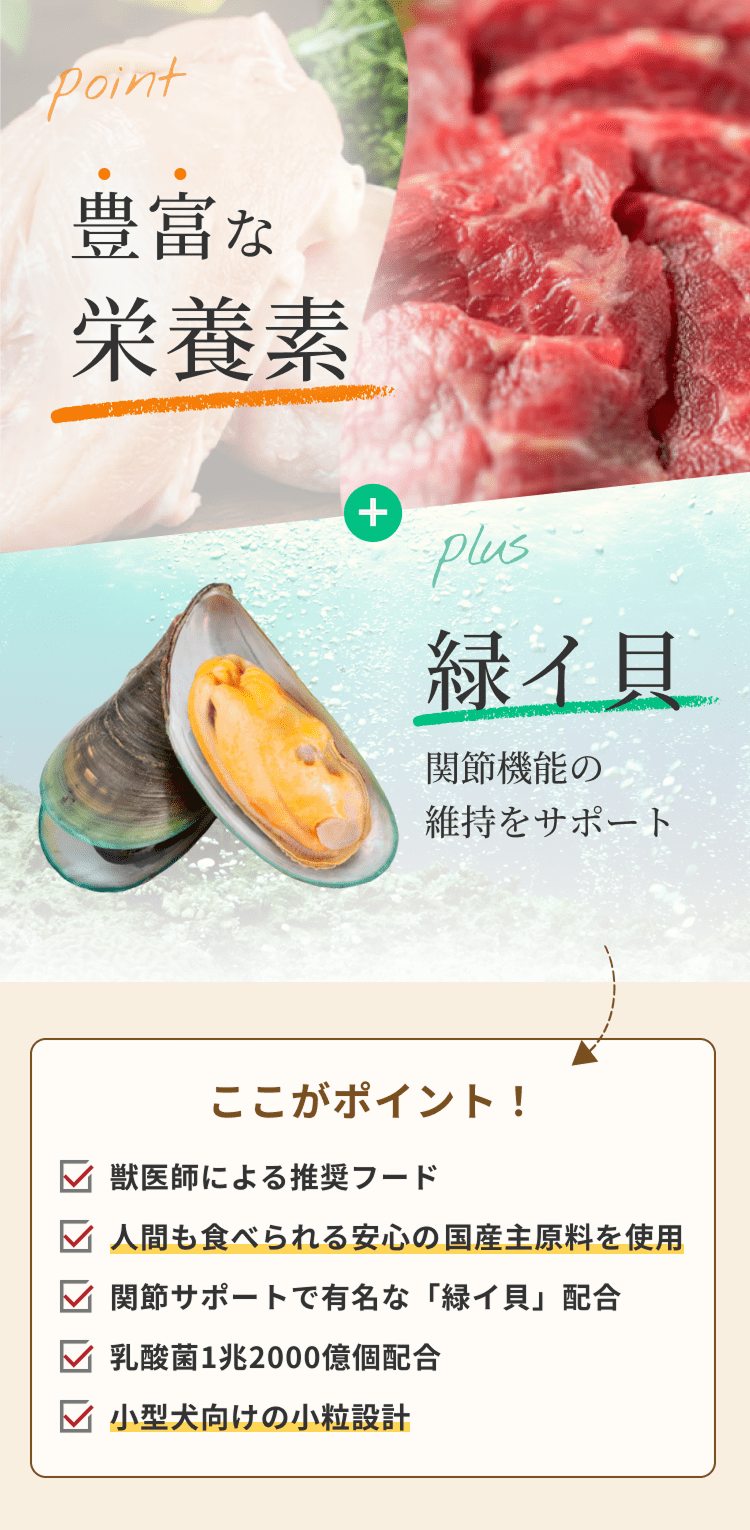 ミシュワンのポイント