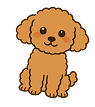 小型犬