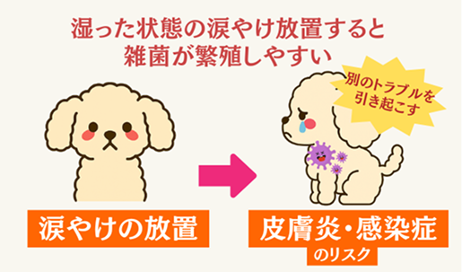 涙やけ原因