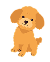 小型犬