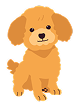 トイプードル