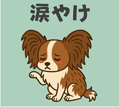 涙やけ