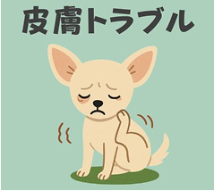 皮膚トラブル