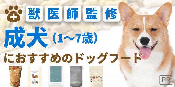ドッグフード 成犬 無添加 国産 安全 犬 餌 ランキング 獣医 おすすめ 人気