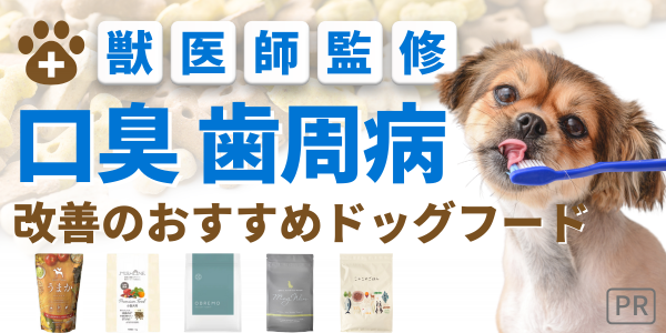 ドッグフード 口臭 歯周病 無添加 国産 安全 犬 餌 ランキング 獣医 おすすめ 人気