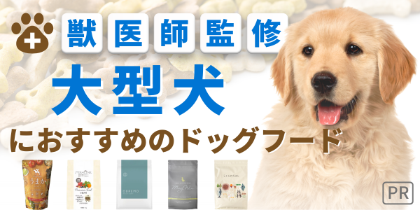 ドッグフード 大型犬 無添加 国産 安全 犬 餌 ランキング 獣医 おすすめ 人気