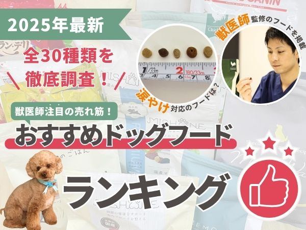 ドッグフード おすすめ
