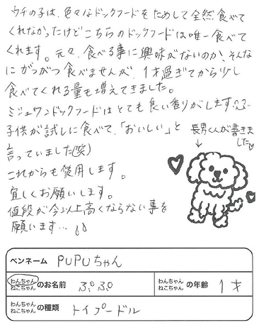 レビュー内容画像