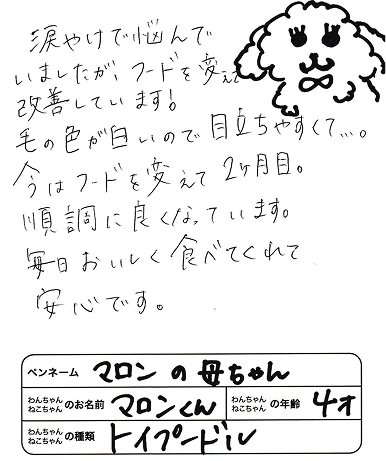 レビュー内容画像